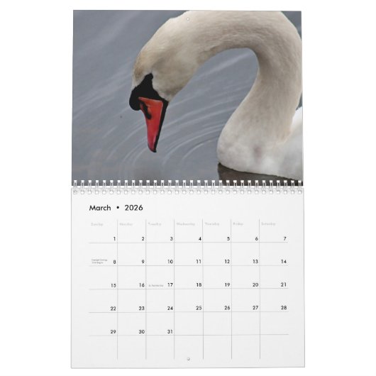 Swans Kalender (Mar 2026)