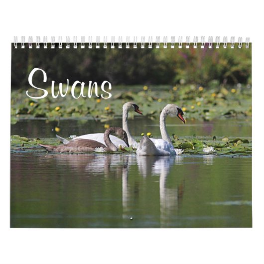 Swans Kalender (Hoes)
