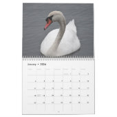 Swans Kalender (Jan 2026)