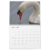 Swans Kalender (Mar 2027)