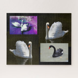 Swans Legpuzzel