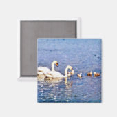 SWANS MAGNEET (Voorkant / Achterkant)