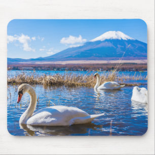 Swans Muismat