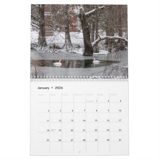 Swans of Spring Grove Kalender (Jan 2026)