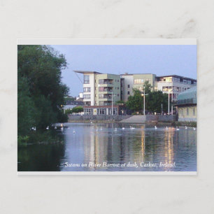 Swans on River Barrow, Carlow Town, Ierland Briefkaart