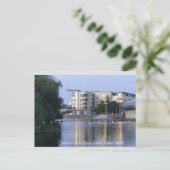 Swans on River Barrow, Carlow Town, Ierland Briefkaart (Staand voorkant)