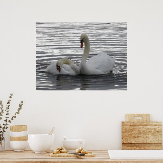 Swans Poster (Keuken)