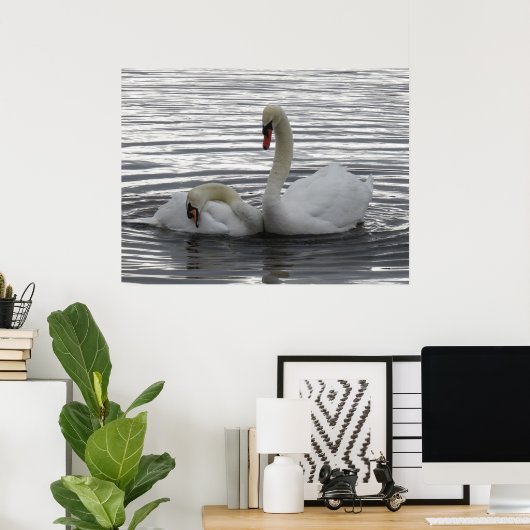Swans Poster (Thuiskantoor)