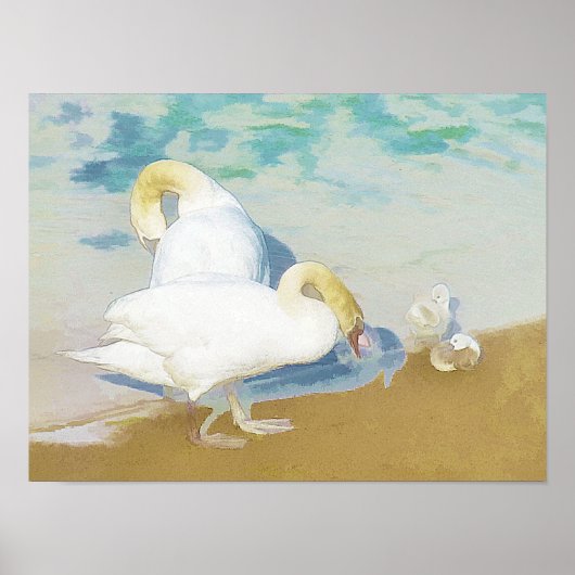 SWANS POSTER (Voorkant)