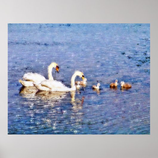 SWANS POSTER (Voorkant)