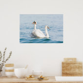 Swans Poster (Keuken)