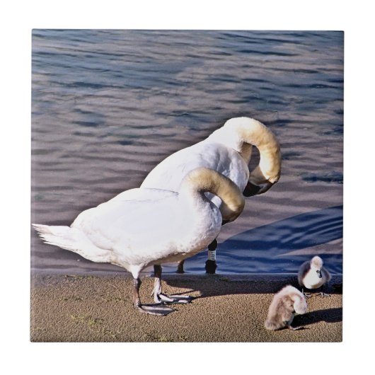 SWANS TEGELTJE (Voorkant)