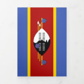 Swaziland-vlag Drieluik Kaart (Cover)