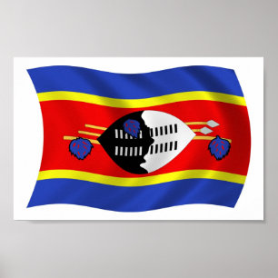 Swaziland Vlag Poster Print