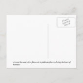 Sweat Bee Briefkaart (Achterkant)
