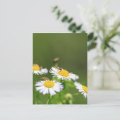 Sweat Bee Briefkaart (Staand voorkant)
