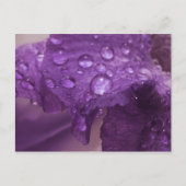 Sweaty Iris Briefkaart (Voorkant)