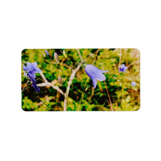 Swedish Bluebell Etiket (Voorkant)