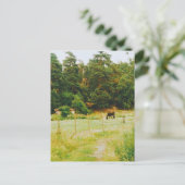 Swedish Countryside Briefkaart (Staand voorkant)