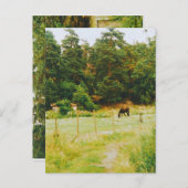 Swedish Countryside Briefkaart (Voorkant / Achterkant)