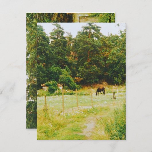 Swedish Countryside Briefkaart (Voorkant / Achterkant)