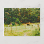 Swedish Countryside Briefkaart (Achterkant)