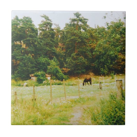 Swedish Countryside Tegeltje (Voorkant)