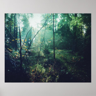 Swedish Forrest Poster