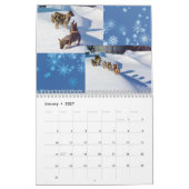 Swedish Vallhund, Vastgotaspets, Callendar 2018 Kalender (Jan 2027)