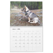 Swedish Vallhund, Vastgotaspets, Callendar 2018 Kalender (Mar 2026)