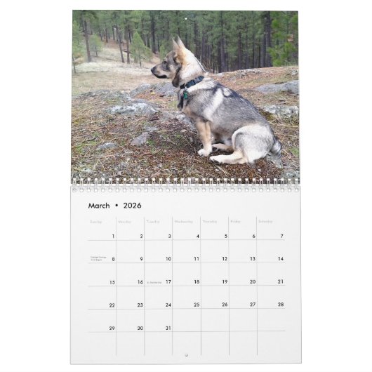 Swedish Vallhund, Vastgotaspets, Callendar 2018 Kalender (Mar 2026)