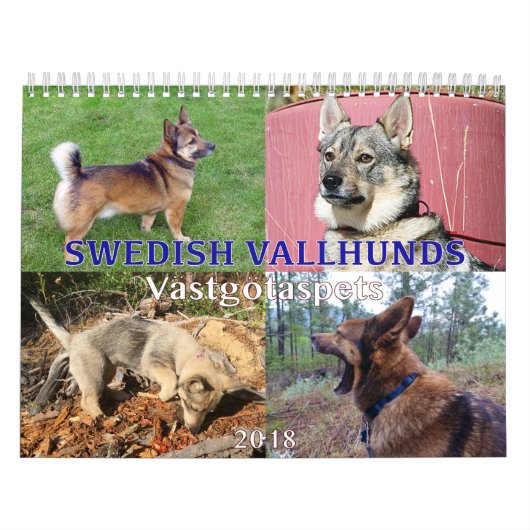 Swedish Vallhund, Vastgotaspets, Callendar 2018 Kalender (Hoes)