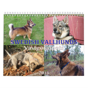 Swedish Vallhund, Vastgotaspets, Callendar 2018 Kalender