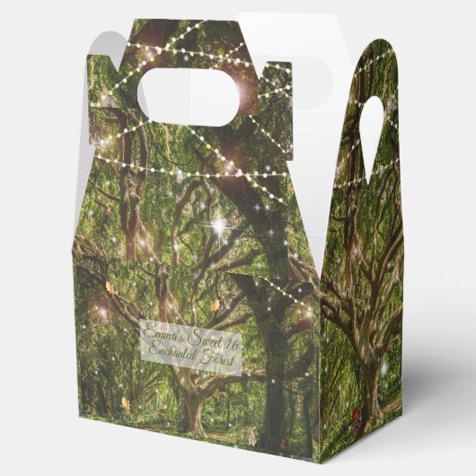 Sweet 16 Enchanted Forest Fairies Bunny Stars  Bedankdoosjes (Geopend)
