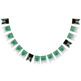 Sweet 16 Party, Falling Green Glitter & 4 foto's Vlaggetjes