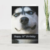Sweet 16th Birthday Kaart, Cute Husky (Voorkant)