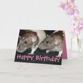 Sweet agouti-jasje voor meisjes verjaardagskaart kaart