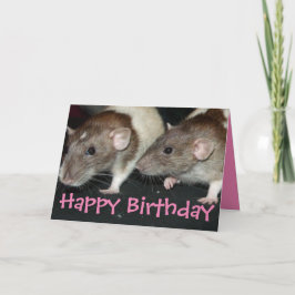 Sweet agouti-jasje voor meisjes verjaardagskaart kaart