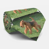 Sweet Airdale Terrier Stropdas (Opgerold)