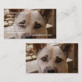 Sweet Akita Visitekaartje (Voorkant / Achterkant)
