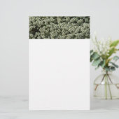 Sweet Alyssum Flowers White Floral Briefpapier (Staand voorkant)