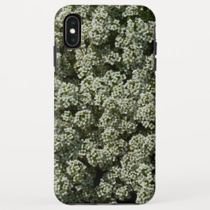 Sweet Alyssum Flowers White Floral Case-Mate iPhone Case