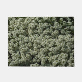 Sweet Alyssum Flowers White Floral Deurmat (Voorkant)
