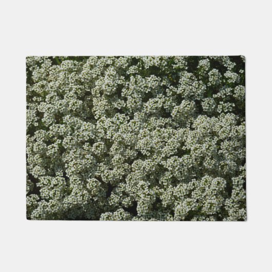 Sweet Alyssum Flowers White Floral Deurmat (Voorkant)