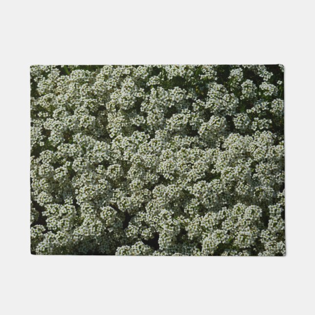 Sweet Alyssum Flowers White Floral Deurmat (Voorkant)