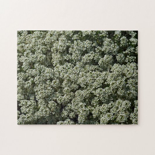 Sweet Alyssum Flowers White Floral Legpuzzel (Horizontaal)