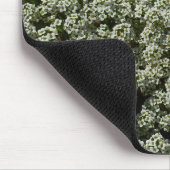 Sweet Alyssum Flowers White Floral Muismat (Hoek)