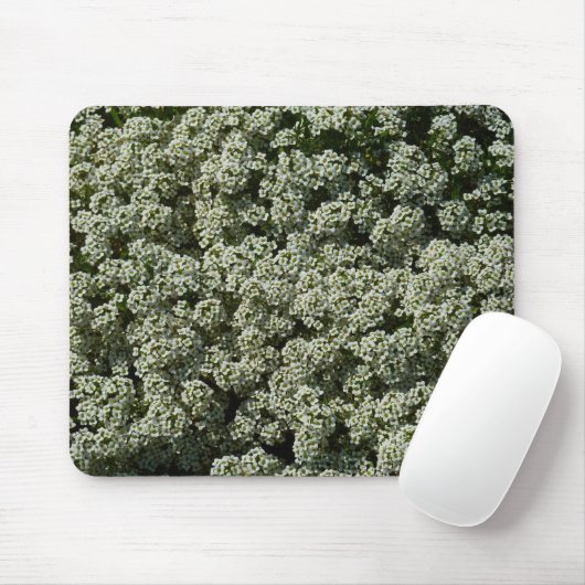 Sweet Alyssum Flowers White Floral Muismat (Met muis)