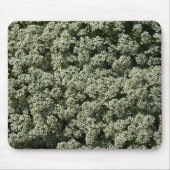 Sweet Alyssum Flowers White Floral Muismat (Voorkant)