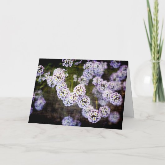 Sweet Alyssum in Grunge Moederdag Kaart (Voorkant)